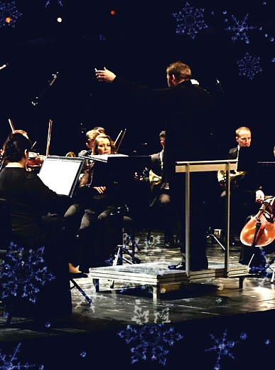 Концертная программа «Классический Новый год»